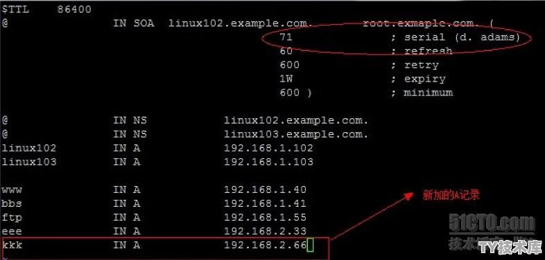 linux中的dns是做什么的